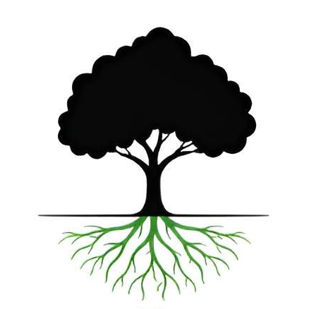 Consultores Salud y Vida